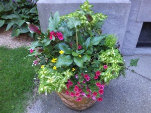 Planter at the west (right) side entrance of the church.